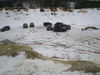 DSCN4804.JPG