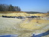 DSCN5746.JPG
