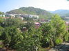 IMG_0969.JPG