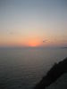 IMG_1175.JPG