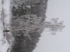 PC254262.JPG
