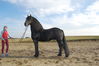 DSC_0211.JPG