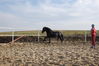 DSC_0228.JPG