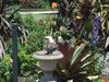DSC07853.JPG