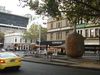 DSC08224.jpg