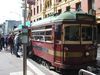 DSC08233.jpg