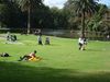 DSC08309.jpg