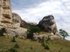 DSCF7909.JPG
