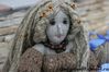 Имя файла=VIKAROMANOVA110.JPG
Размер файла=396КБ
Размеры=3456x2304
Дата=Фев 06, 2011 VIKAROMANOVA110.JPG