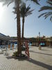 DSCN8434.JPG