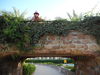 DSCN8894.JPG