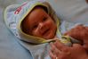 DSC01616.jpg