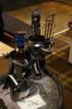 DSC01843.jpg