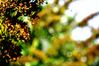 14_09_2011_140.JPG