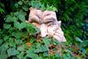 14_09_2011_150.JPG