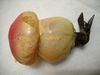 DSC03442.JPG