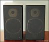 Tannoy_Eclipse_front_grill_1024x768.JPG