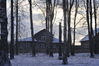 _DSC0195.jpg