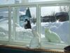 Имя файла=DSCF4361.JPG
Размер файла=197КБ
Размеры=1024x768
Дата=Фев 04, 2012 DSCF4361.JPG
