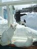 Имя файла=DSCF4411.JPG
Размер файла=200КБ
Размеры=768x1024
Дата=Фев 04, 2012 DSCF4411.JPG