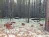 Имя файла=DSCF7864.JPG
Размер файла=220КБ
Размеры=1024x768
Дата=Фев 04, 2012 DSCF7864.JPG