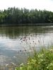 Имя файла=IMG_2421.jpg
Размер файла=482КБ
Размеры=768x1024
Дата=Фев 14, 2012 IMG_2421.jpg