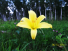 Имя файла=liliya.png
Размер файла=1550КБ
Размеры=900x675
Дата=Фев 10, 2012 liliya.png