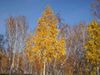getImage_28129.jpg