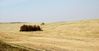 Имя файла=DSCF4729_1.jpg
Размер файла=366КБ
Размеры=1024x525
Дата=Фев 09, 2012 DSCF4729_1.jpg
