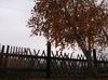Имя файла=DSCF4810_1.jpg
Размер файла=619КБ
Размеры=1024x758
Дата=Фев 09, 2012 DSCF4810_1.jpg