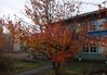 Имя файла=DSCF4815_1.jpg
Размер файла=686КБ
Размеры=1024x712
Дата=Фев 09, 2012 DSCF4815_1.jpg