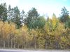 Имя файла=100_1080.jpg
Размер файла=224КБ
Размеры=800x600
Дата=Фев 13, 2012 100_1080.jpg