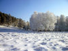 Имя файла=Moroz_i_solnce.jpg
Размер файла=1557КБ
Размеры=2560x1920
Дата=Фев 14, 2012 Moroz_i_solnce.jpg