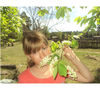 Имя файла=Aromatnaya_cheryomuha.jpg
Размер файла=119КБ
Размеры=597x539
Дата=Фев 15, 2012 Aromatnaya_cheryomuha.jpg
