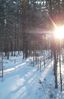 Имя файла=Na_solnce_temnyy_les_zardel___.JPG
Размер файла=292КБ
Размеры=665x1024
Дата=Фев 17, 2012 Na_solnce_temnyy_les_zardel___.JPG