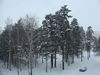 Имя файла=DSC01382.JPG
Размер файла=2755КБ
Размеры=3264x2448
Дата=Фев 15, 2012 DSC01382.JPG