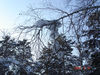 Имя файла=DSC00217.jpg
Размер файла=1909КБ
Размеры=1400x1050
Дата=Фев 17, 2012 DSC00217.jpg