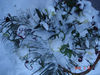 Имя файла=DSC00251.jpg
Размер файла=1195КБ
Размеры=1400x1050
Дата=Фев 17, 2012 DSC00251.jpg