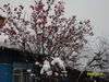 SDC12640.JPG
