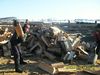 SDC14049.jpg