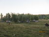 2013-08-16_16-10-32.JPG