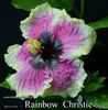 Имя файла=008_-_Rainbow_Christie.jpg
Размер файла=114КБ
Размеры=835x850
Дата=Апр 17, 2013 008_-_Rainbow_Christie.jpg
