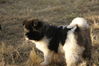 Имя файла=DSC00181.JPG
Размер файла=4031КБ
Размеры=4592x3056
Дата=Фев 09, 2014 DSC00181.JPG