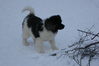 Имя файла=DSC02347.JPG
Размер файла=3375КБ
Размеры=4592x3056
Дата=Фев 09, 2014 DSC02347.JPG