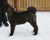 Имя файла=DSC03330.JPG
Размер файла=2268КБ
Размеры=3819x3056
Дата=Фев 09, 2014 DSC03330.JPG