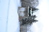 DSC_0464.JPG
