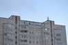 DSC_0469.JPG