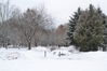 DSC_0498.JPG