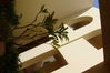 DSC08544.JPG
