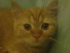 Имя файла=DSC00179.JPG
Размер файла=537КБ
Размеры=1632x1224
Дата=Фев 11, 2007 DSC00179.JPG